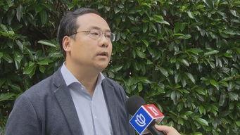 陈先生爆料菠萝视频